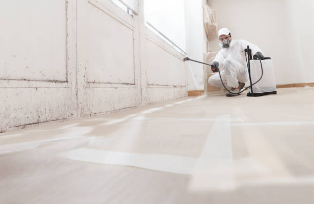 24/7 Emergency Mold Remediation experts in Elmwood Park, NJ